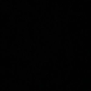 Meet your Posher, Reese